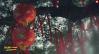 【濱州移風(fēng)易俗紀(jì)錄片】春雨潤(rùn)心田 文明花兒開(kāi)
